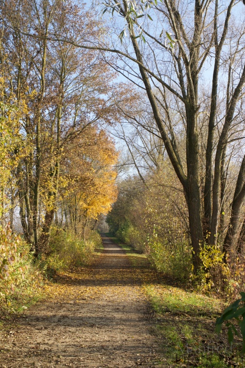 Herbstweg