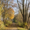 Herbstweg